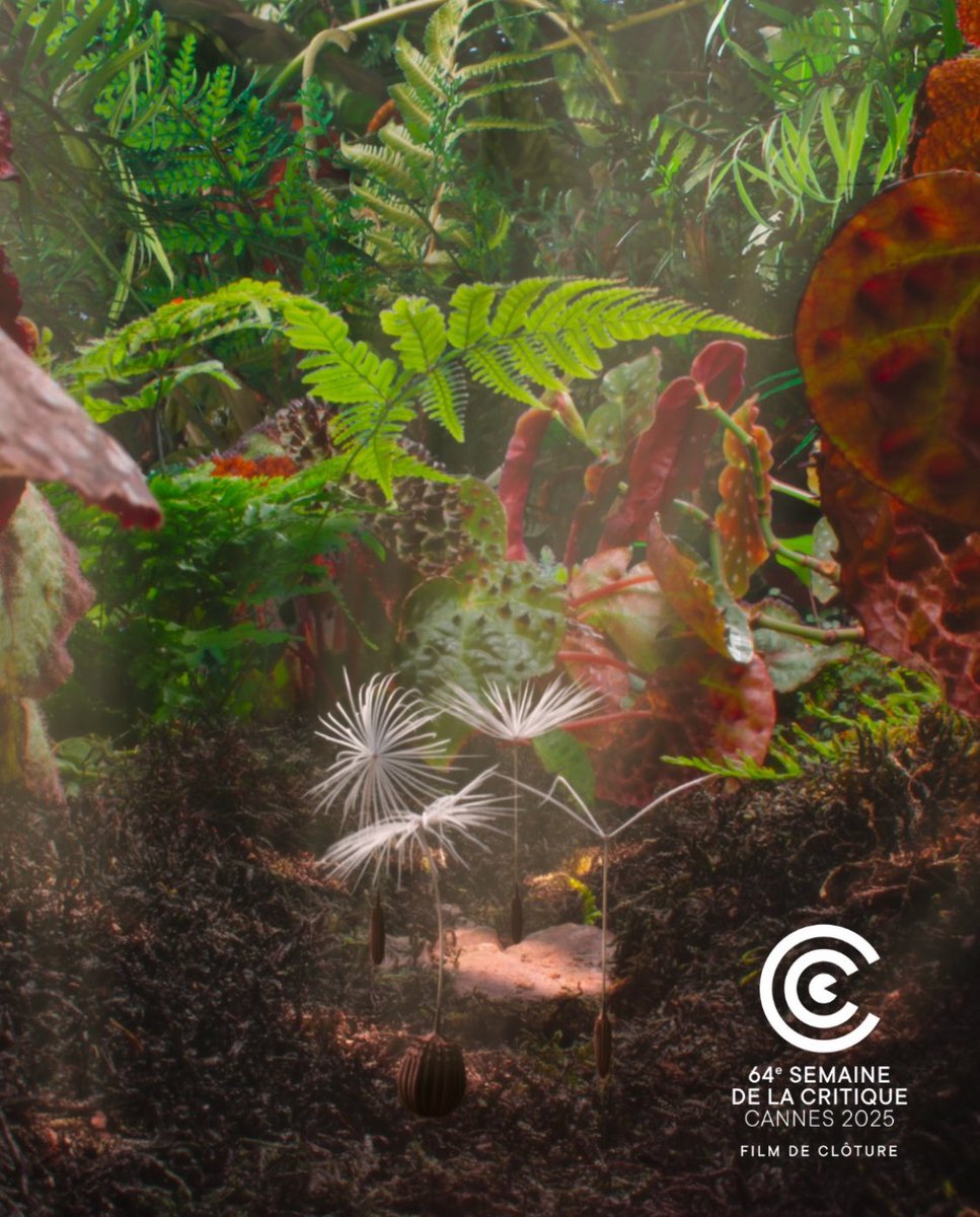 GM 🌱 <a href="/semainecannes/">Semaine de la Critique</a>