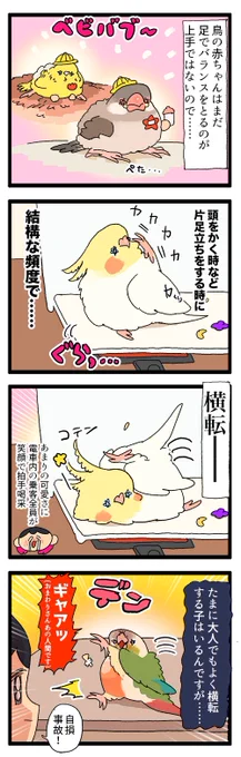 鳥の雛ちゃん、バランスを崩してころんころ〜ん🐣

2066 #えるポピの絵日記かくところ 
