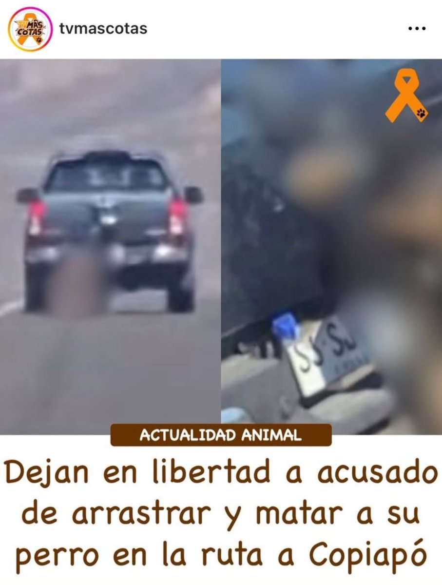 Ahanubis's tweet photo. A pesar de la flagrancia dejan en libertad al médico Álvaro Alonso Claro que arrastró y mato a su perro. 
Si hay espacio a la impunidad, seguirán matando animales. #URGENTE Ruta 5 https://t.co/k9a6rvPkIx