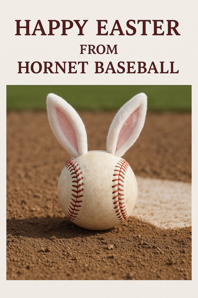 FB Hornet Baseball (@fb_hornet) on Twitter photo 