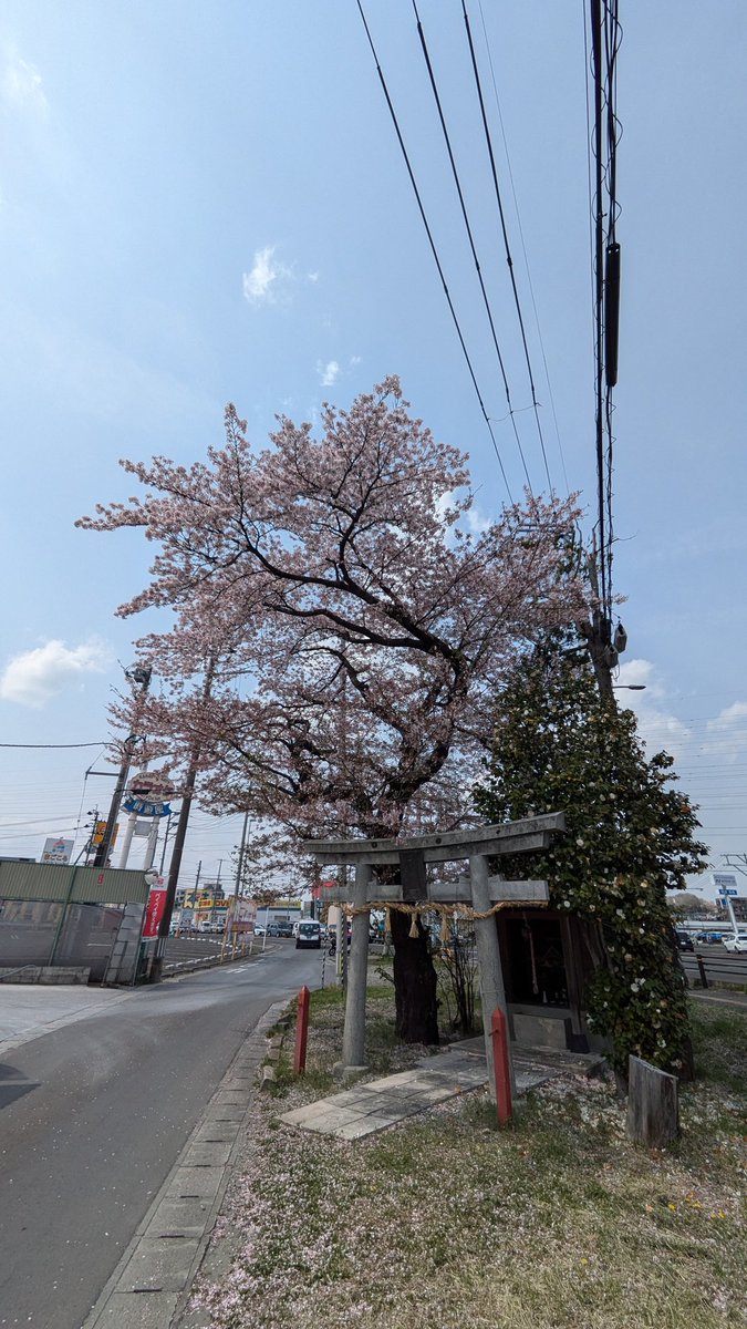yokan113's tweet photo. https://t.co/z65RhQ9WEb