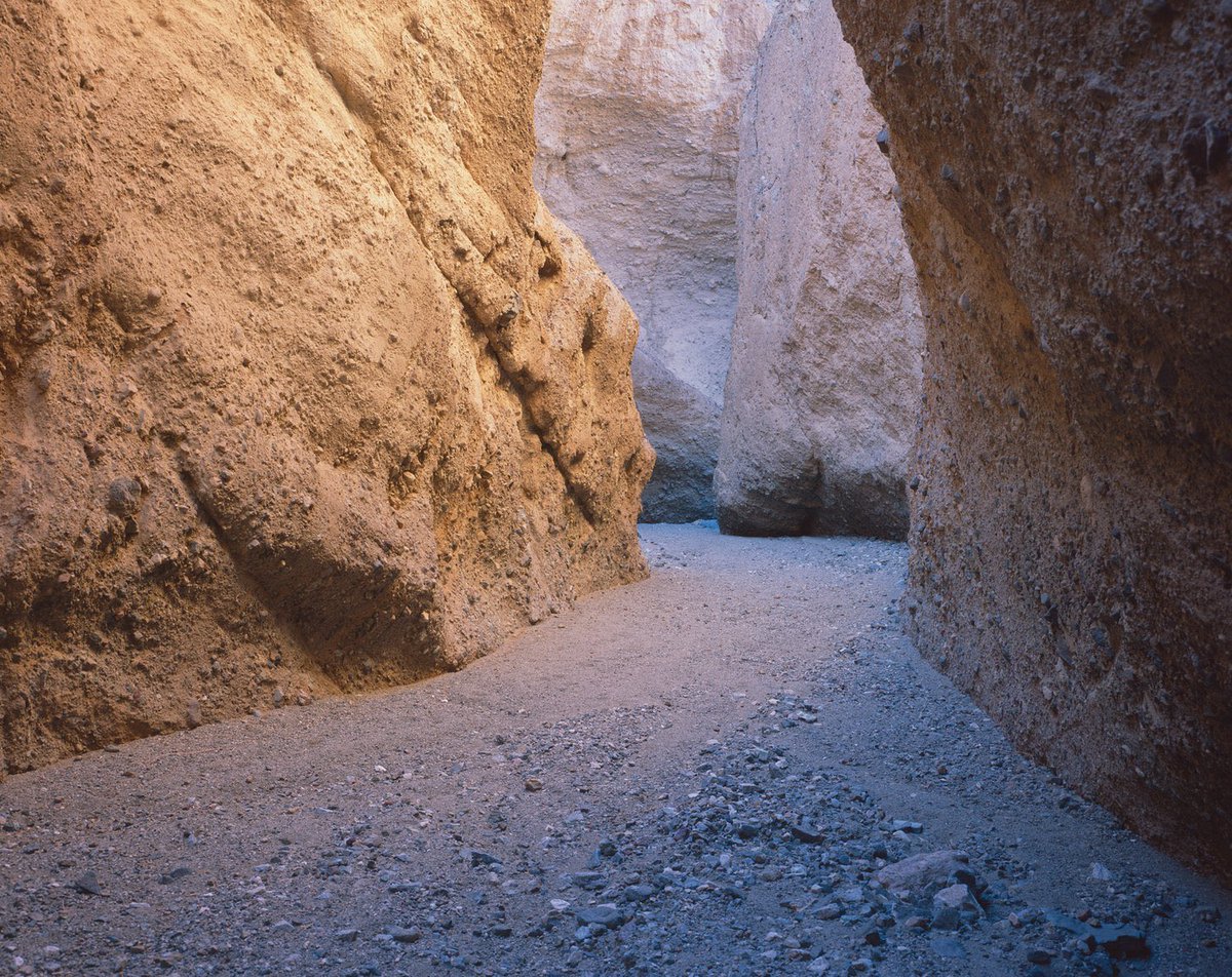 Ben Horne tweet media