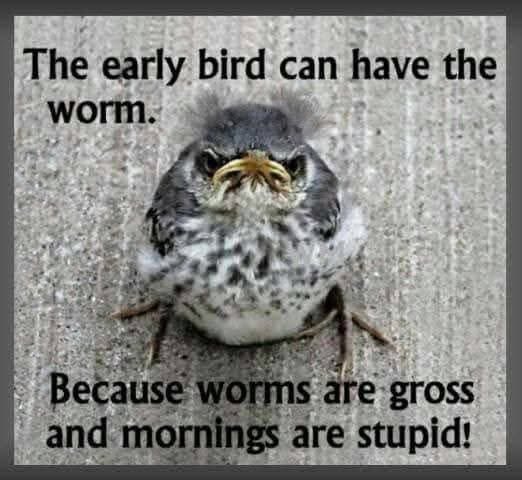 🤣🤣🤣🤣🤣😒😒😒😒🤨🤨🤣☕️