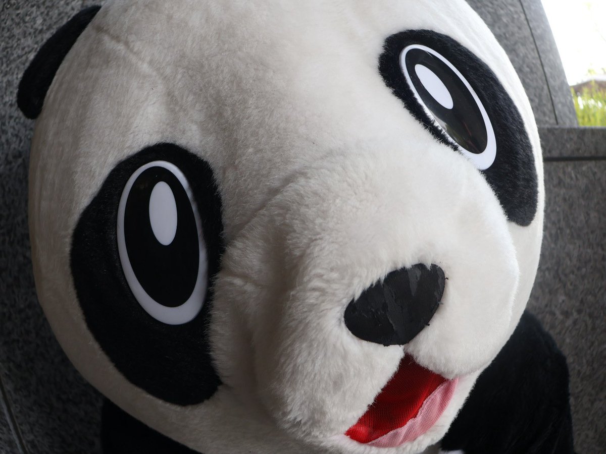 smo2_'s tweet photo. @pandaforever___ 
🐼 https://t.co/fqcIfJlmgT