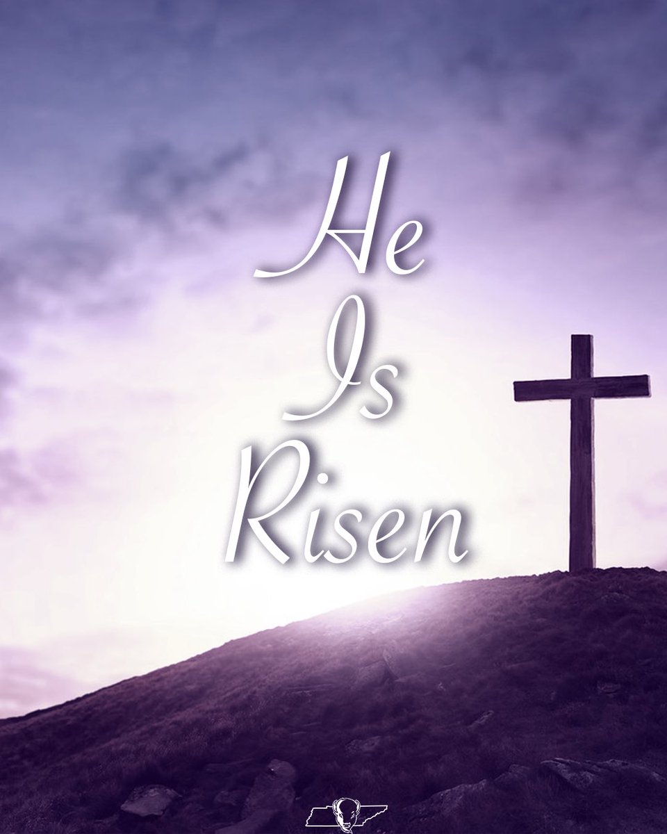 We serve a risen Savior 🙌

#IntoTheStorm ⛈️ | #HornsUp 🤘