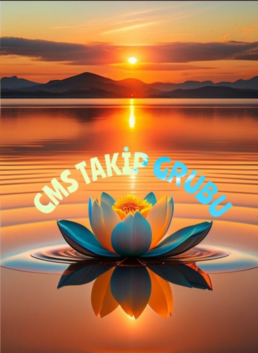 Carzade1's tweet image. 𝐂 𝐌 𝐒 🌼
@Dfne_06
@Carzade1
@265asi
@_bir63
@mkus27
@ZynpYS15
@Drrsn42
@SrvtCar
@Glsm21
@drsn_42
@SiirSL1
@1Krklm
@nryd37
@1enm_
@Akif2_
@mhmttt_3
@ezgu11
@nykdmrl
@Anajbejeb
@m_kayrak
@mdenistore
@nlf16
@Krklm
@2Rzgr
@emineerkan1
@100Alperen
@bilgekdn 
@fzsnchp
@lemanyargici