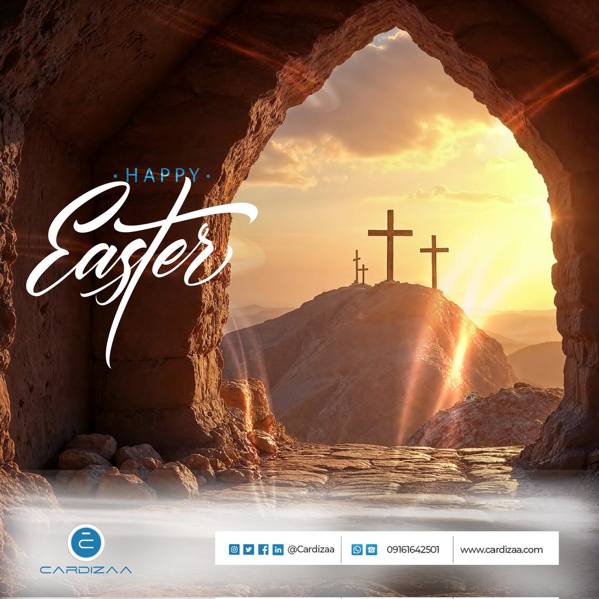 Cardizaa tweet media