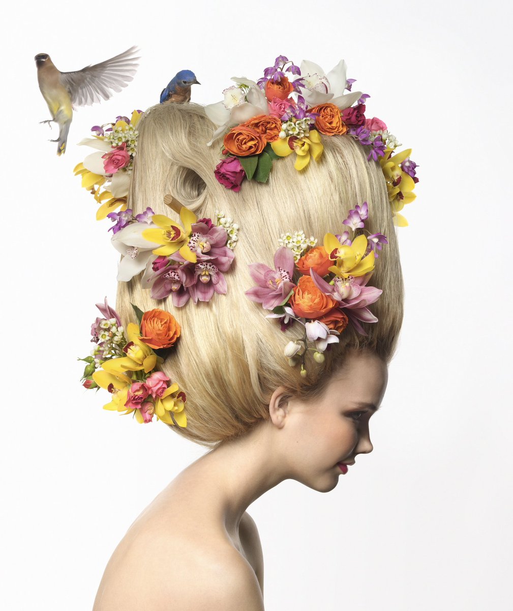 Wishing you a season of renewal, clarity, and soft beginnings—on both sides of the lens. May this Spring bring fresh perspectives and frames worth capturing. Happy Spring from all of us at Digital Transitions #spring #renewal #connection #preservation #phaseone #phase1