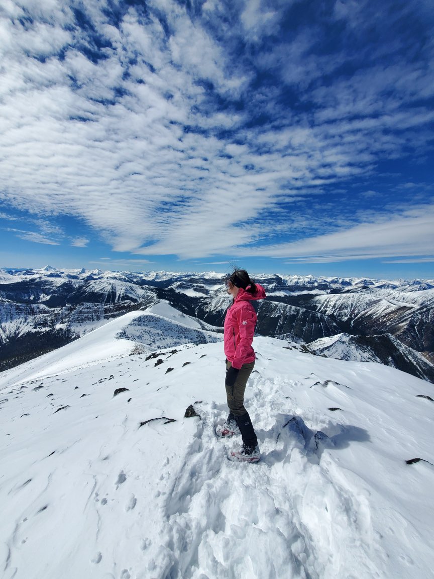 I can feel a Blue Wave coming to Canada!
Let’s go! <a href="/PierrePoilievre/">Pierre Poilievre</a> 
🇨🇦💙🇨🇦
