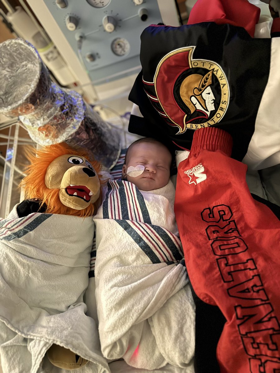 robbiepalmer92's tweet photo. Willow Palmer getting some Sens playoffs in already only a week after being born! Thank you @CHEO for all the incredible, loving care so far in the nicu @Senators Go Sens Go #heartoverhype #revupthered https://t.co/0E5iIGba68
