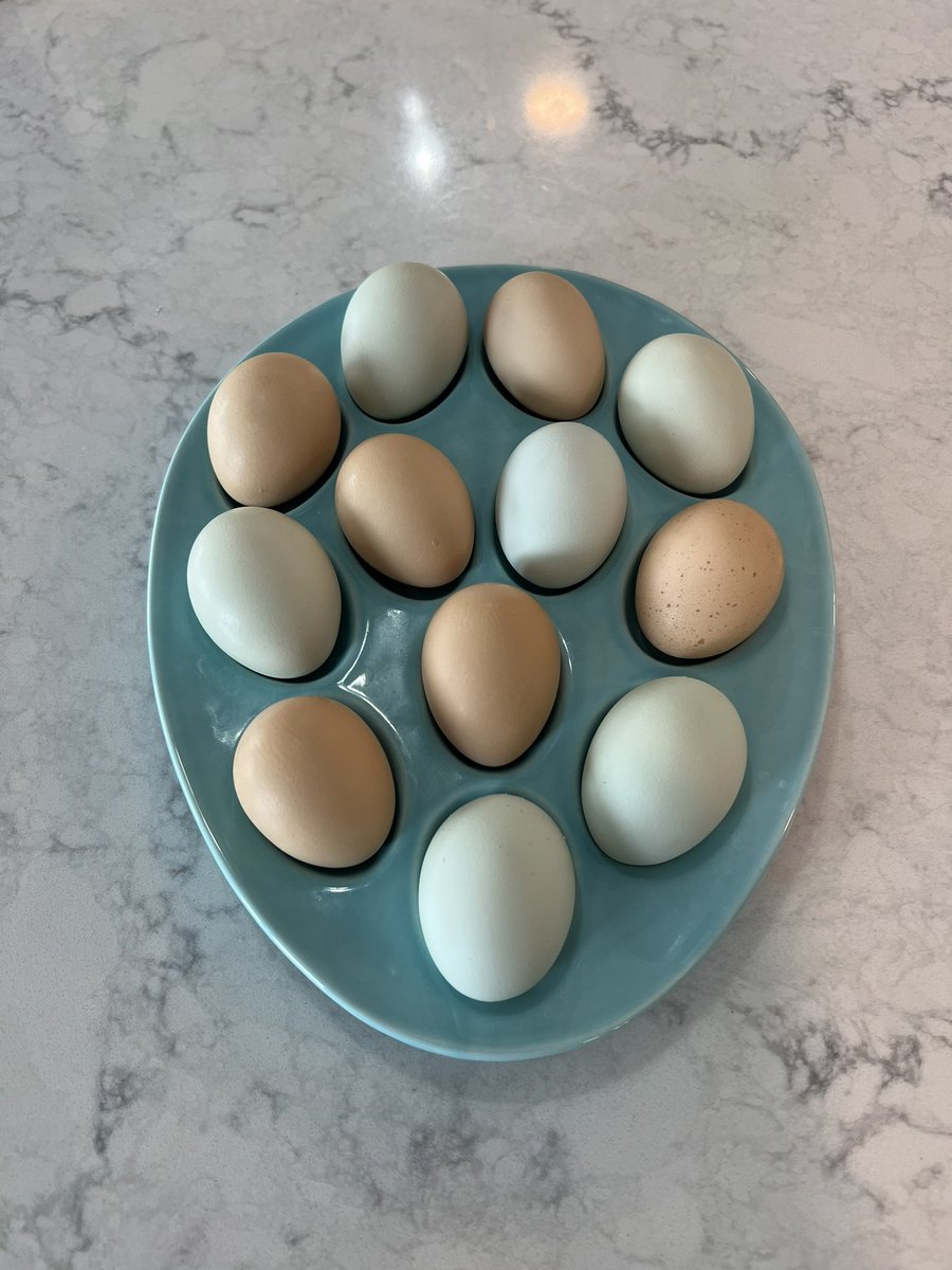 rickreplyguy's tweet image. Happy Easter to all!