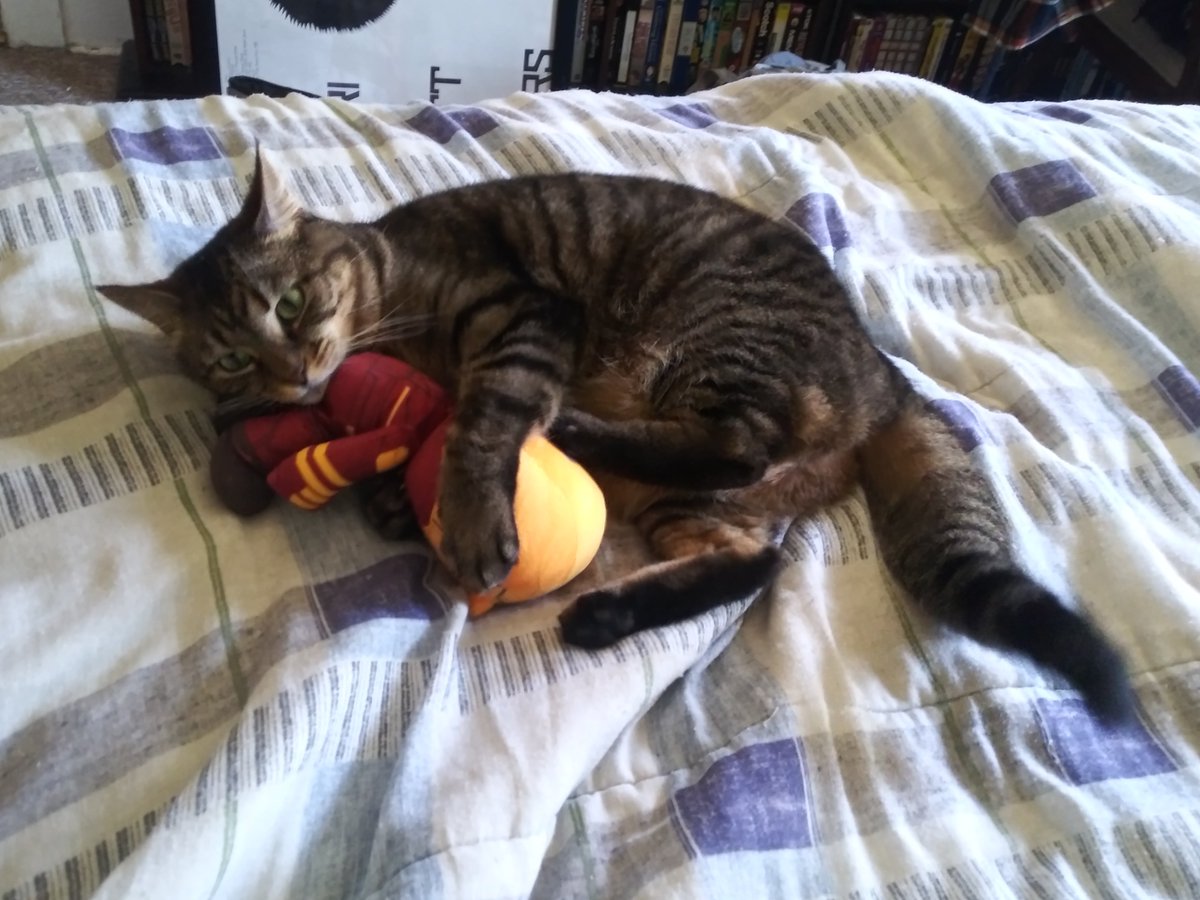 twhurt's tweet photo. Happy 6th birthday, Gillis! Happy 5th birthday, MEG! https://t.co/0I3JsM0rEz