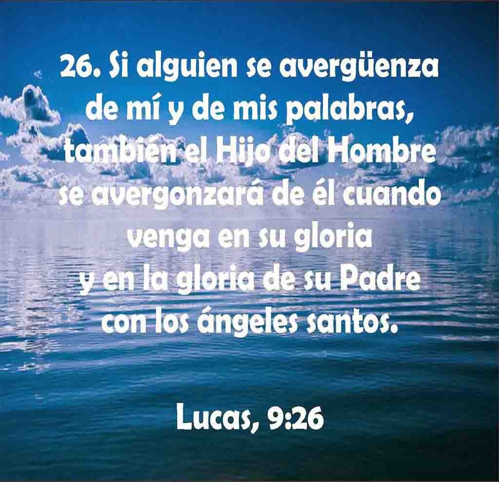 Maynor morales (@maynor69110298) on Twitter photo 