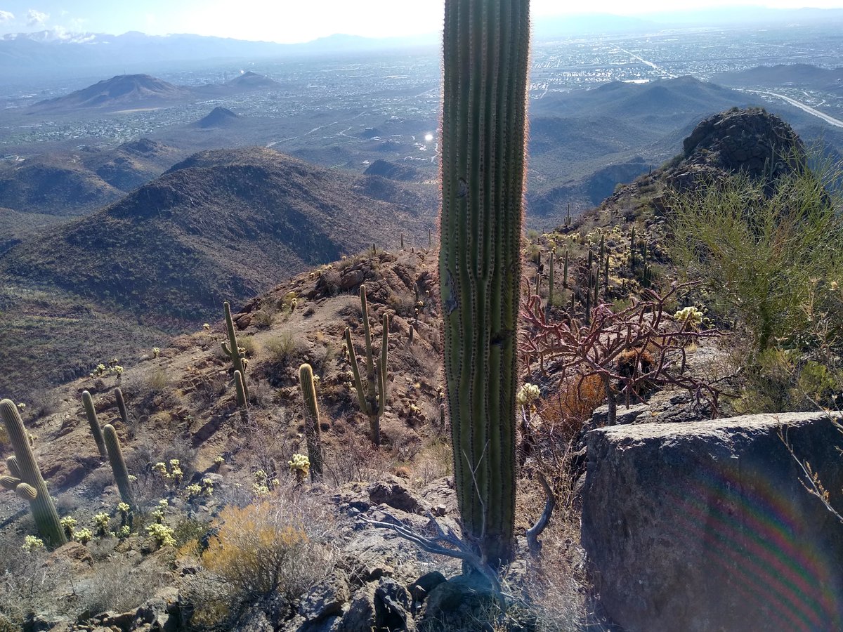 contextfreeinfo's tweet image. Happy Easter! And here's a view from my hike yesterday.