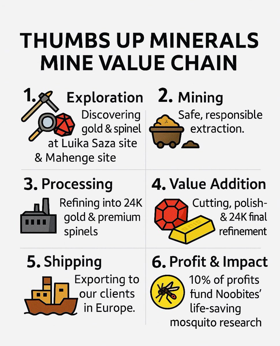 thumbsup_Inc's tweet photo. From Tanzania’s heart to global impact — At Thumbs Up Minerals, we discover, refine, and give back. 10% of our profits fuel life-saving mosquito research through Noobites.

#Gold #Spinel #MiningWithPurpose #Tanzania #Noobites #impactmatters https://t.co/yt6ualR2N8