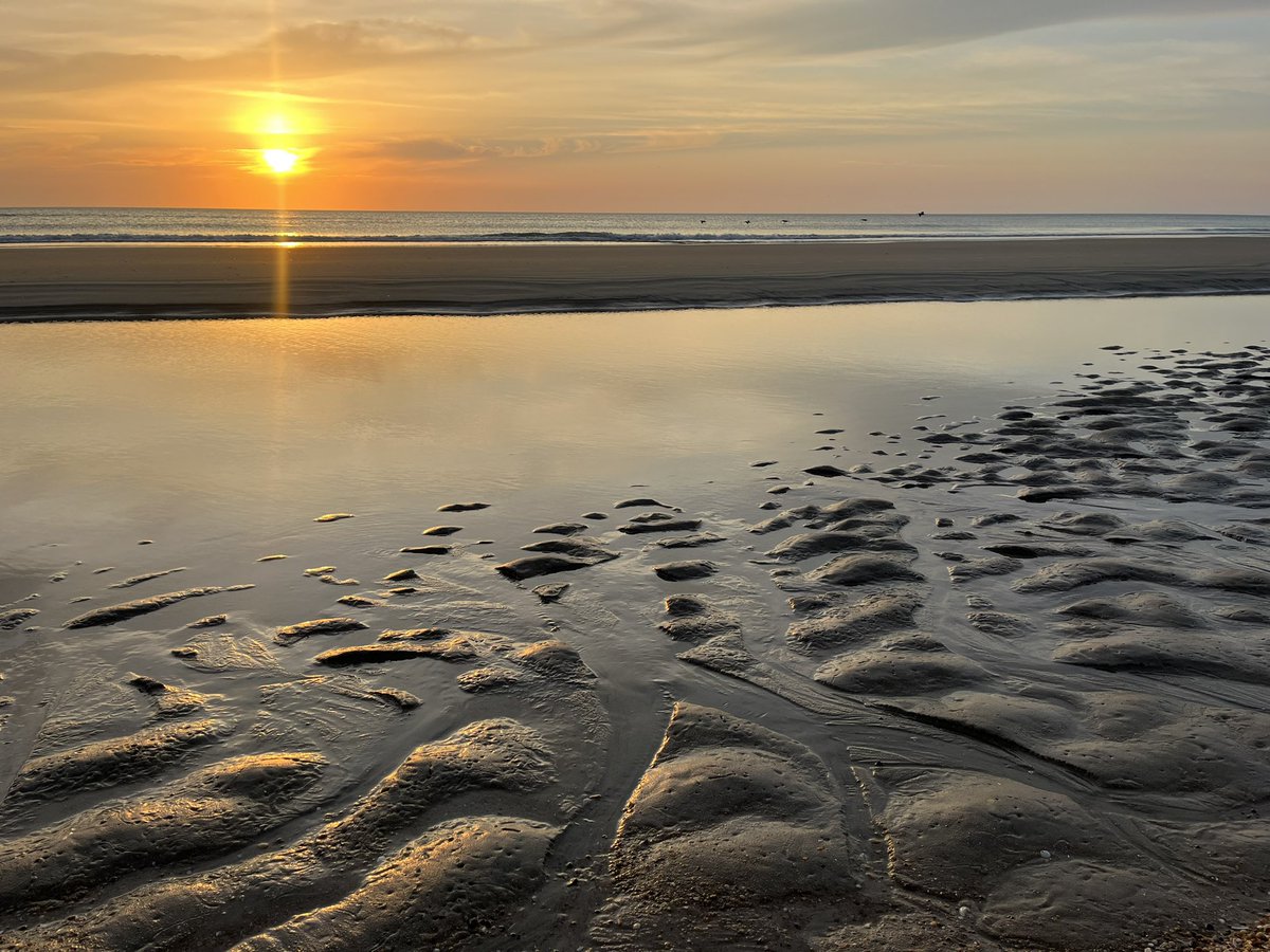 Kristen Jones tweet media