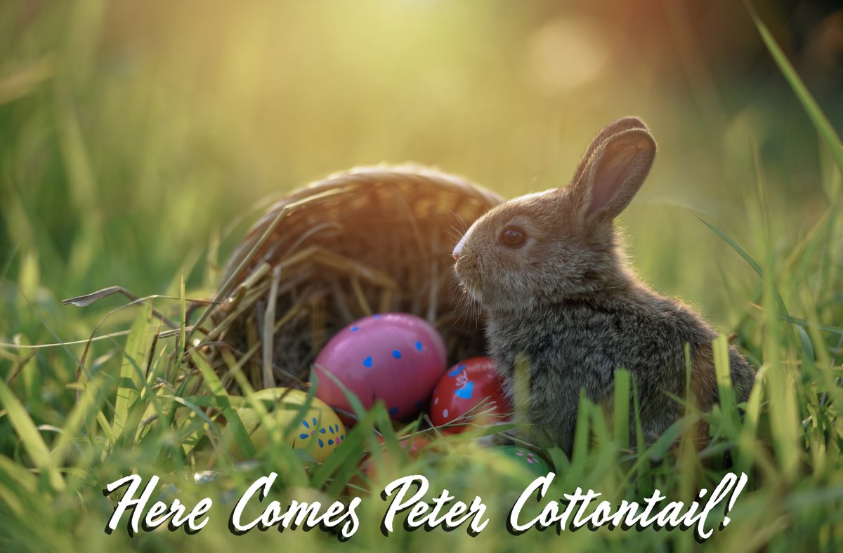 FirmKing's tweet photo. Here’s to laughter, light, and all the little things that make Easter special. 🌷🐇 
#HoppyEaster https://t.co/abk3kIyrVs