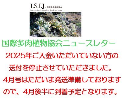 ISIJ(国際多肉植物協会)Newsletter 80号~99号 20冊 ISIJ(国際多肉植物協会)Newsletter 80号~99号 20冊
