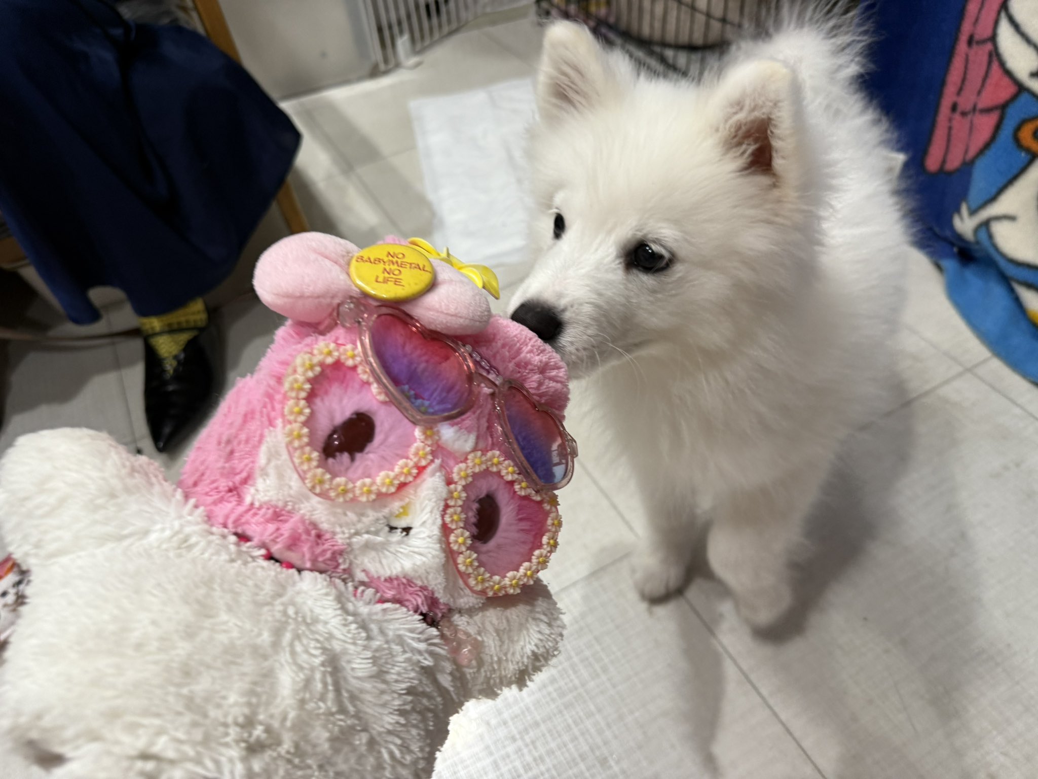 MY WAY@KEN-G✨METAL🦊ケンメロ💖🐰😋 on X: 