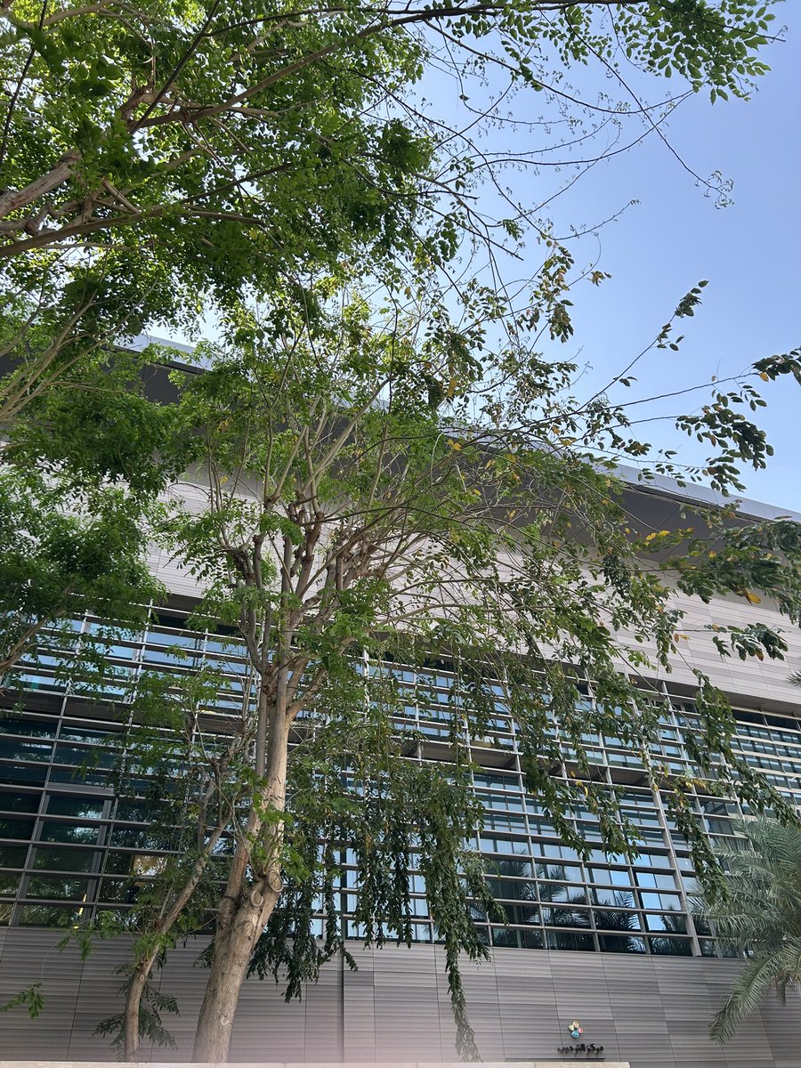 iamAmalMMA's tweet photo. وكانت الاجازة برعاية —>
✅ Cybersecurity Stage3
#KAUSTAcademy #KAUST @KAUST_Academy @NCA_KSA @site_saudi https://t.co/FtpOfi32FS