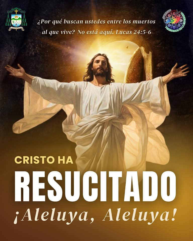 Edgar A. Toledo Ledezma, OP tweet media