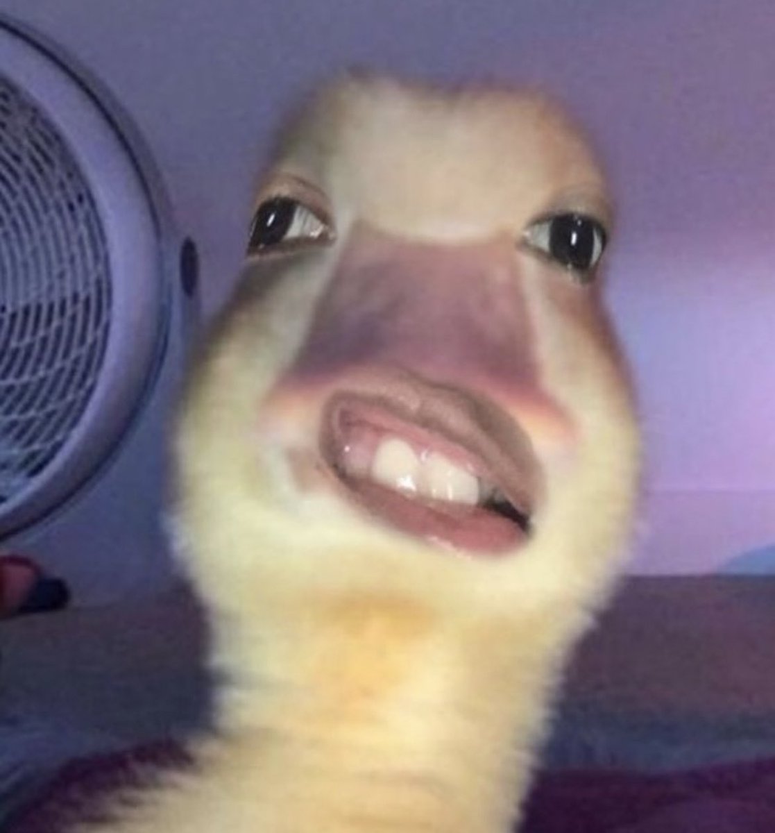 사장이뭐시키면나도모르게와꾸바리이렇게됨