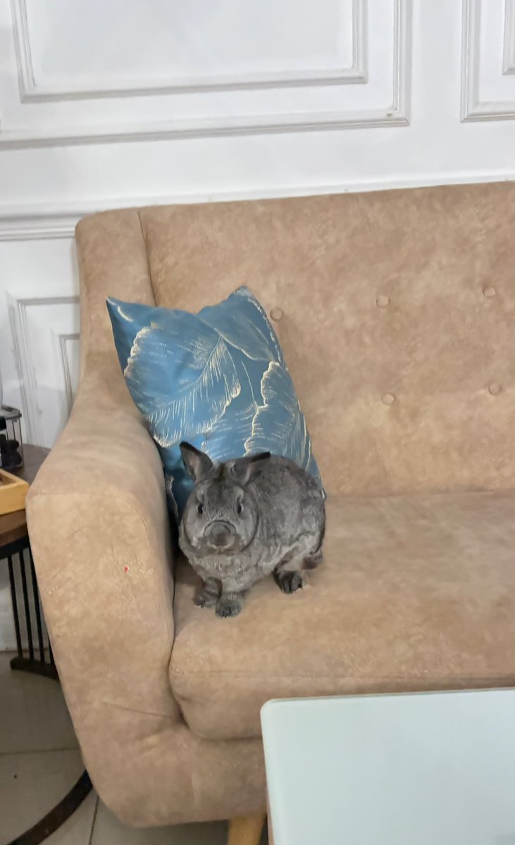 yih suka duduk atas cushion skrg