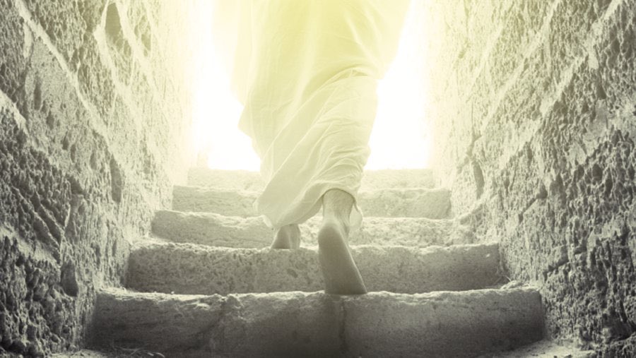 “Blessed be the God and Father of our Lord Jesus Christ! According to his great mercy, he has caused us to be born again to a living hope through the resurrection of Jesus Christ from the dead,” 1 Pet. 1:3