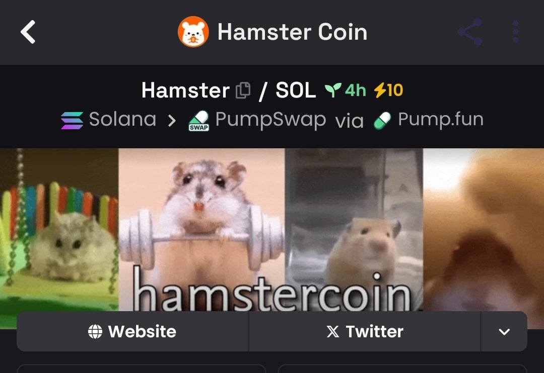 CryptoSam tweet media