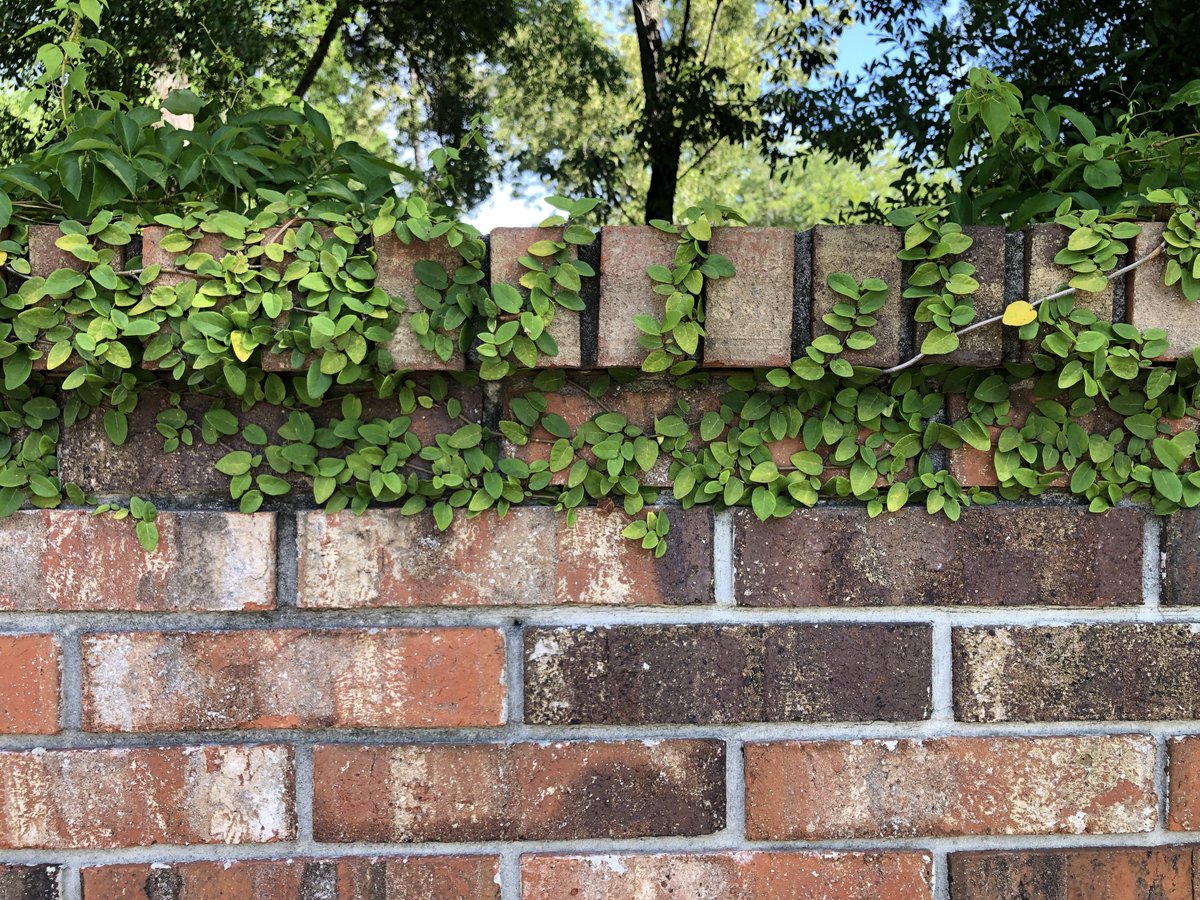 Happy #Easter! Happy #Spring!