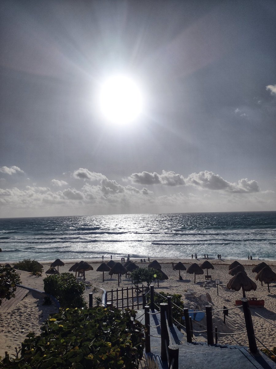 Rafael Pasquel tweet media