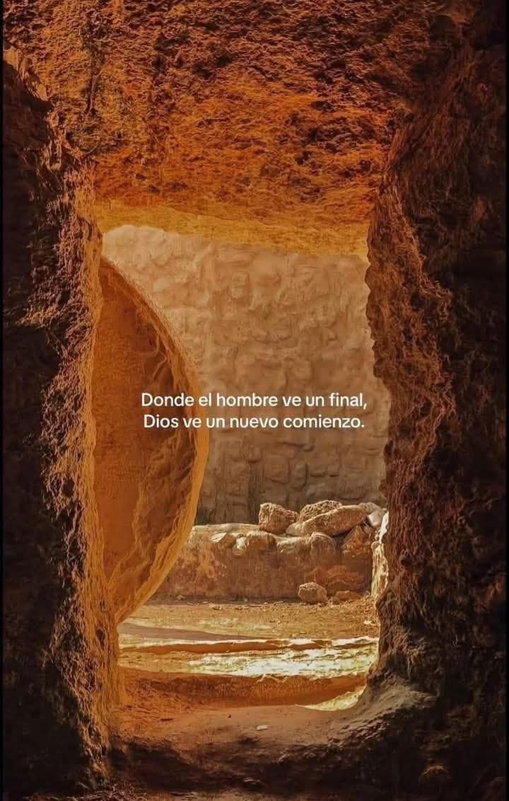 MPPenaBrando's tweet photo. #Avivamiento Cristo Vive 
Nueva Vida en Él #Ecuador https://t.co/FzrFpmBKY2