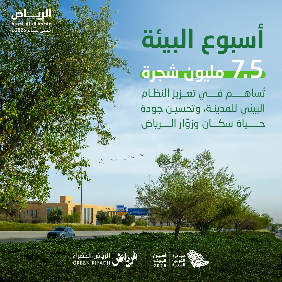 لأن #بيئتنا_كنز، يعمل #الرياض_الخضراء على تشجير المدينة
من أجل مستقبل أكثر استدامة
#أسبوع_البيئة