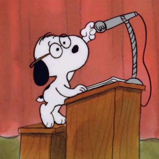 snoopyhero53's tweet photo. Snoopy https://t.co/dpx33vMF6E