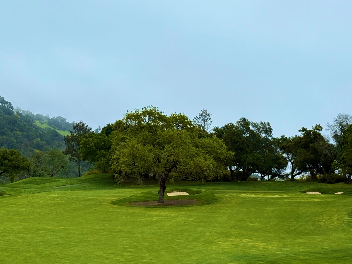 Rick Golfs tweet media