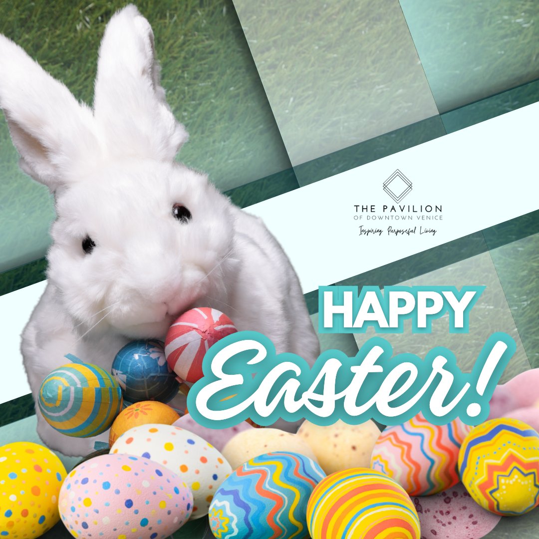 venicecenterl's tweet photo. Happy Easter! Wishing you a day filled with joy, peace, and sweet springtime moments. 🐣🌸 #HappyEaster #SpringJoy #EasterBlessings https://t.co/QeLoxN1LI8
