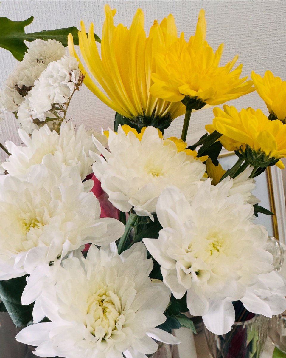 HajimeAve_Lives's tweet photo. #week3 #inApril
この春からまさかのアラ還…
デビュー当時の恩人マミーさんと
30数年ぶりの再会を南の島で果たし
色々リセットしてきました。
ココロ新たに変化したいお年頃
あらためて宜しくお願いいたします
https://t.co/jFLKG1iCiC
#歌はタイムマシーン
#春はせつなくもあり嬉しくもあり https://t.co/plwerX0Gkb