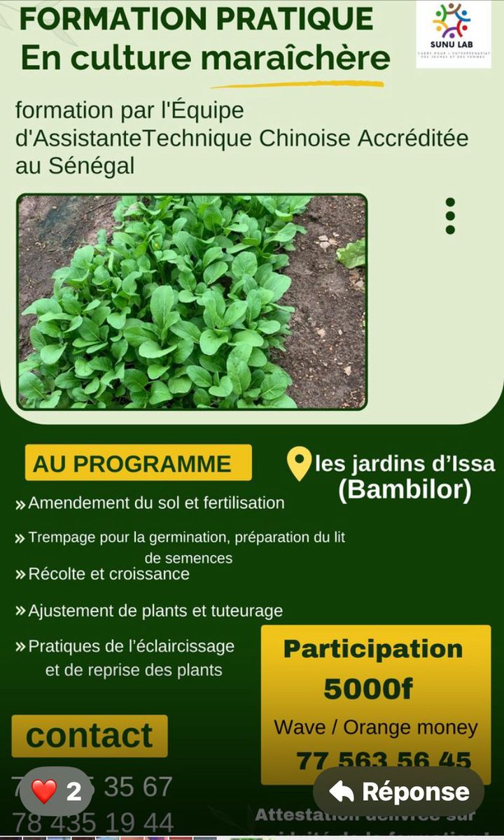 sunuLAB1's tweet image. 🌱 *[ANNONCE] Formation Pratique en Culture Maraîchère – Phase 2* 🌱 💪🏽🌿

📅 *Dates :* le 10 mai]  
⏱️ *Durée :* 2 jours  
📍 *Lieu :* les jardins D'ISSA / Bambilor 
👥

📩 Pour plus d’infos ou pour confirmer votre présence, contactez :  +221 77 585 35 67 / +221 77 777 75 47
