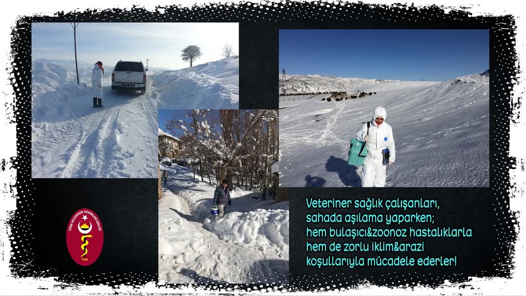 Hayvanını aşılat sağlıklı yaşat ✅
Bugün 20 Nisan 
#DünyaHayvanlarıAşılamaGünü