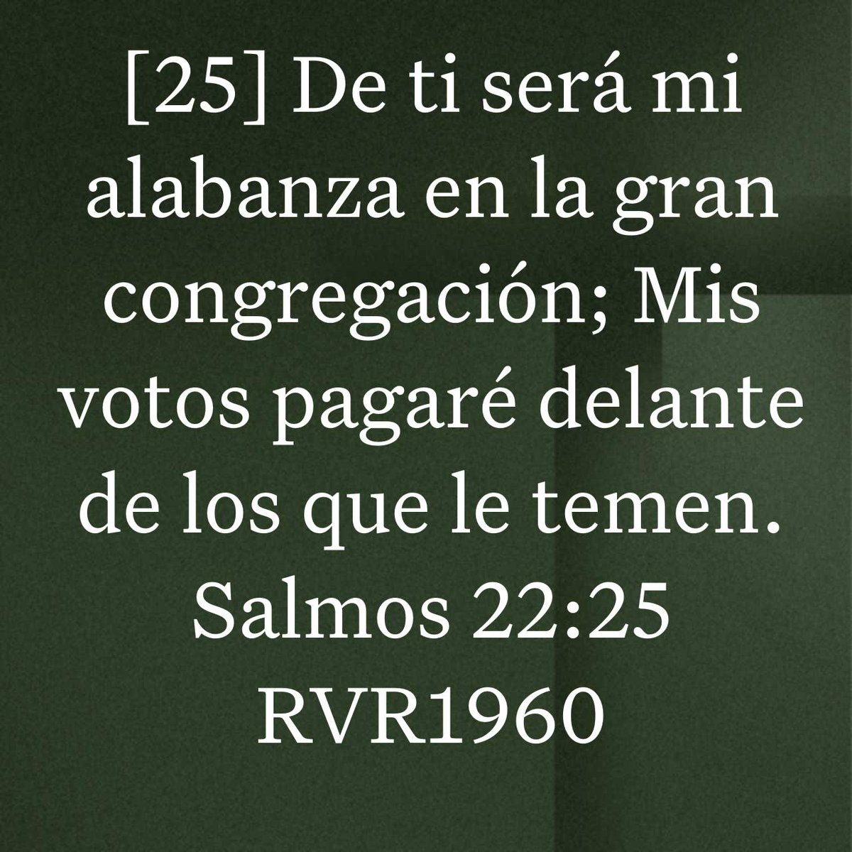 iidalina's tweet photo. Salmos 22:25 RVR1960
[25] De ti será mi alabanza en la gran congregación; Mis votos pagaré delante de los que le temen.

https://t.co/grpZQAyBay https://t.co/eG85JPZAoX