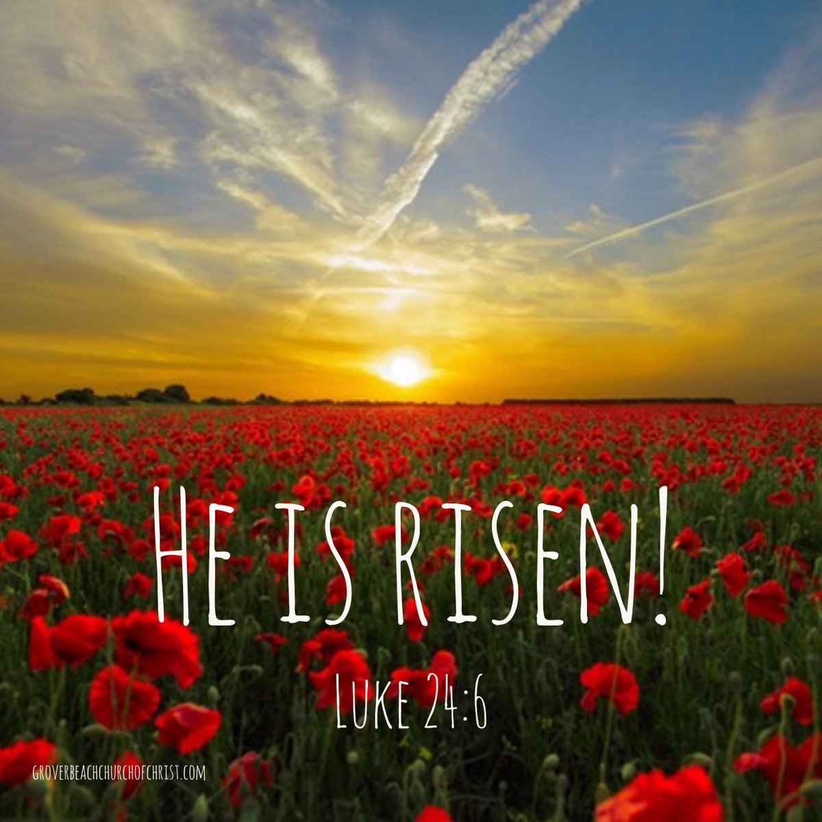GBCofC's tweet image. In their fright the women bowed down with their faces to the ground, but the men said to them, “Why do you look for the living among the dead? He is not here; he has risen!
Luke 24:5-6
@Carole77777
@beautee12
@RichNChrist57
@TBV_Post
@mooncindylu
@monawisa