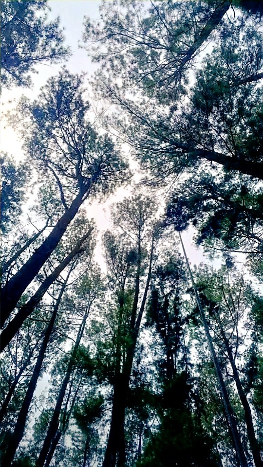 lanjut weekend part 2, minggu pagi ke Stadion Jatidiri, udah mulai open buat umum. and siang ampe sore traveling staycation outdoors ke Panusia Park Ungr hehe.