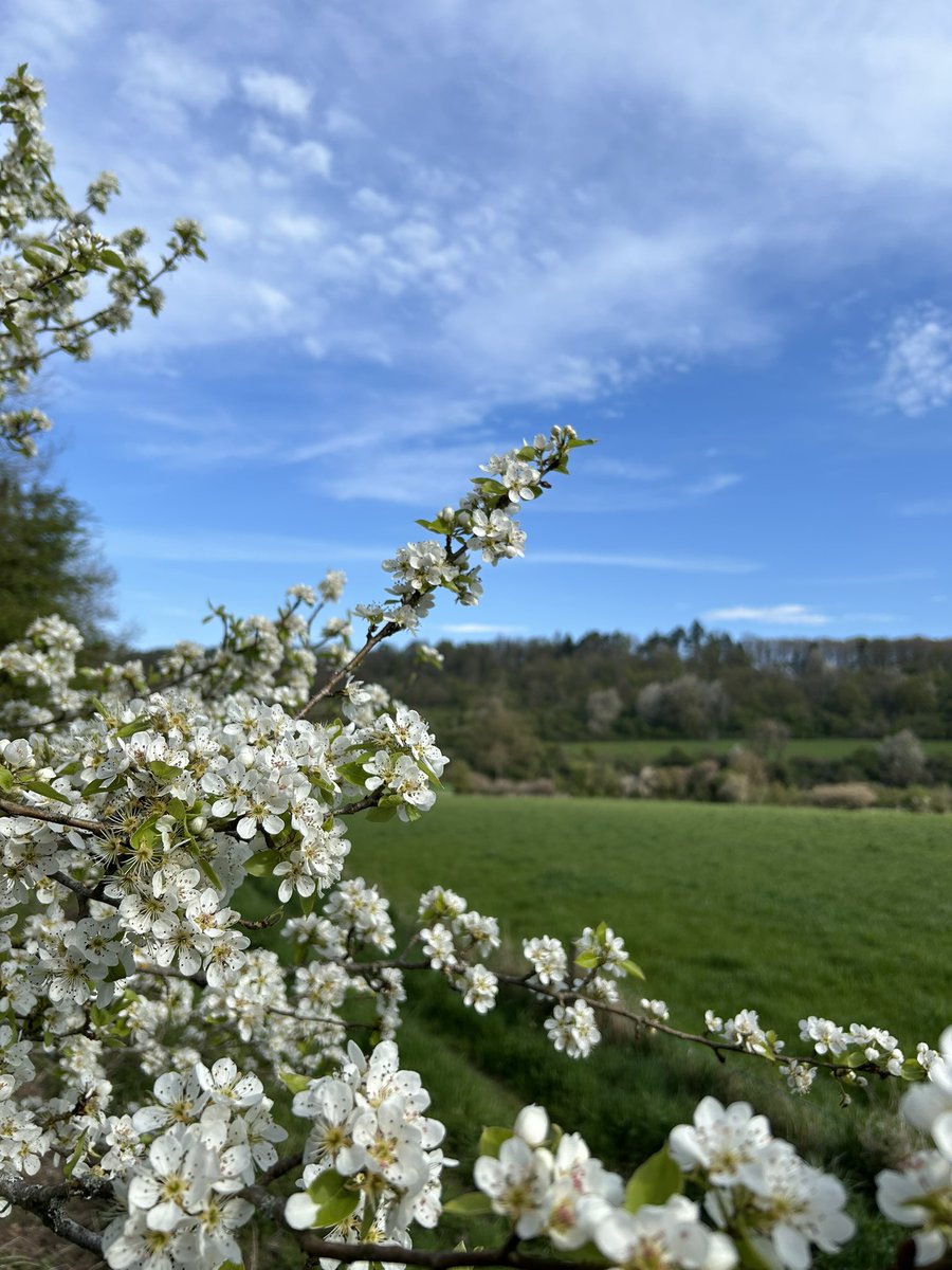 Chris_Brussels's tweet photo. Bon dimanche à toutes et à tous. 🙋♂️🐣🪺🐇
#sundayvibes #HappyEaster #JoyeusesPaques #Lesse #LuxembourgBelge 🇧🇪🇪🇺 https://t.co/scHGCIWzlJ