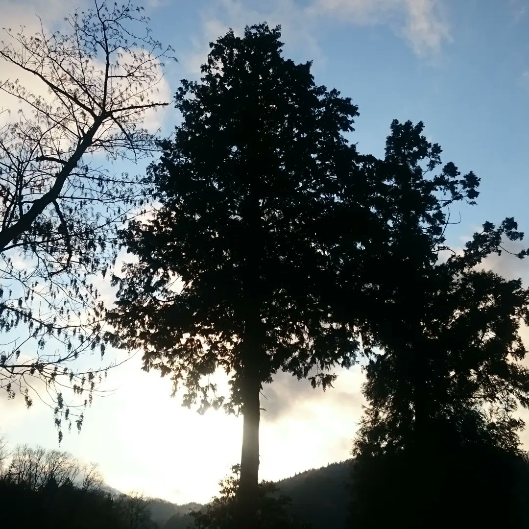 自分の魂の望む方へ進む