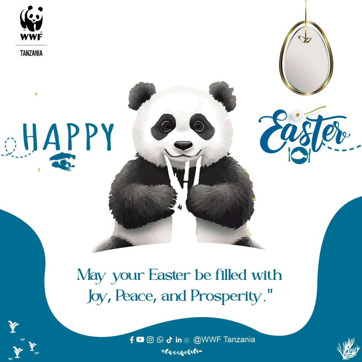 WWF-Tanzania tweet media