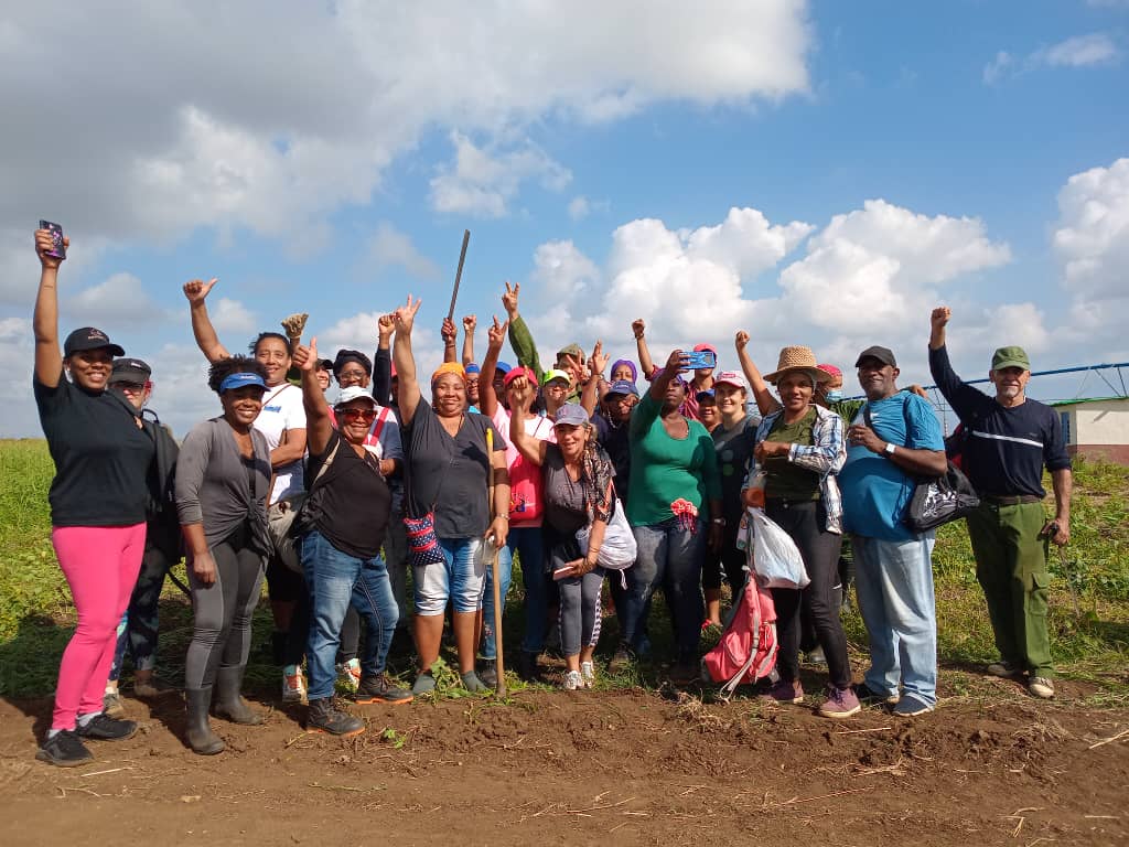 El sol renace y con él, nuestra energía para construir un futuro mejor. ☀️  Unimos fuerzas en esta jornada de trabajos productivos, celebrando el #1roDeMayo y  #64ñosDeGirón   Cada tarea que realizamos, es un acto de fe en #Cuba 🇨🇺 y en nuestra capacidad de vencer.