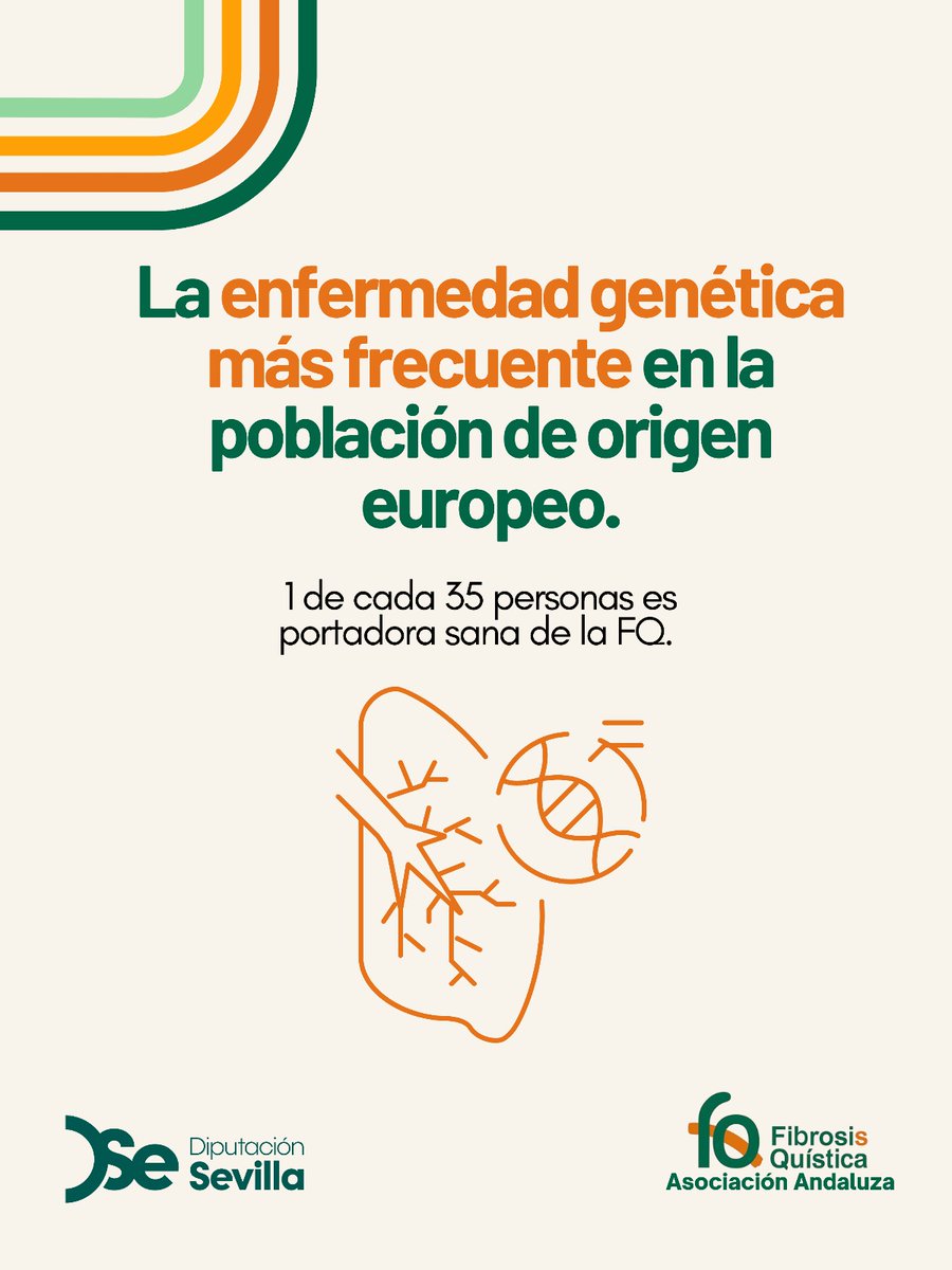 💬 ¿Sabías que la #fibrosisquística es la enfermedad #genética más frecuente en la población de origen europeo?

Y que, ¿1 de cada 35 personas es portadora sana de la #FQ y no lo sabe?

🔁 Comparte y ayúdanos a crear conciencia.
Hagamos visible lo invisible 🧡💚

#RespiraSevilla