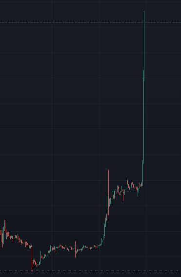 Respect the BROPUMP on a dog token recently. 

What do you think is going to happen for the prophecy ticker $NEIRO on solana. Sleep for now but it's being held by believers and we all know this is big one on Solana, the token that you want to hold and become a bro.