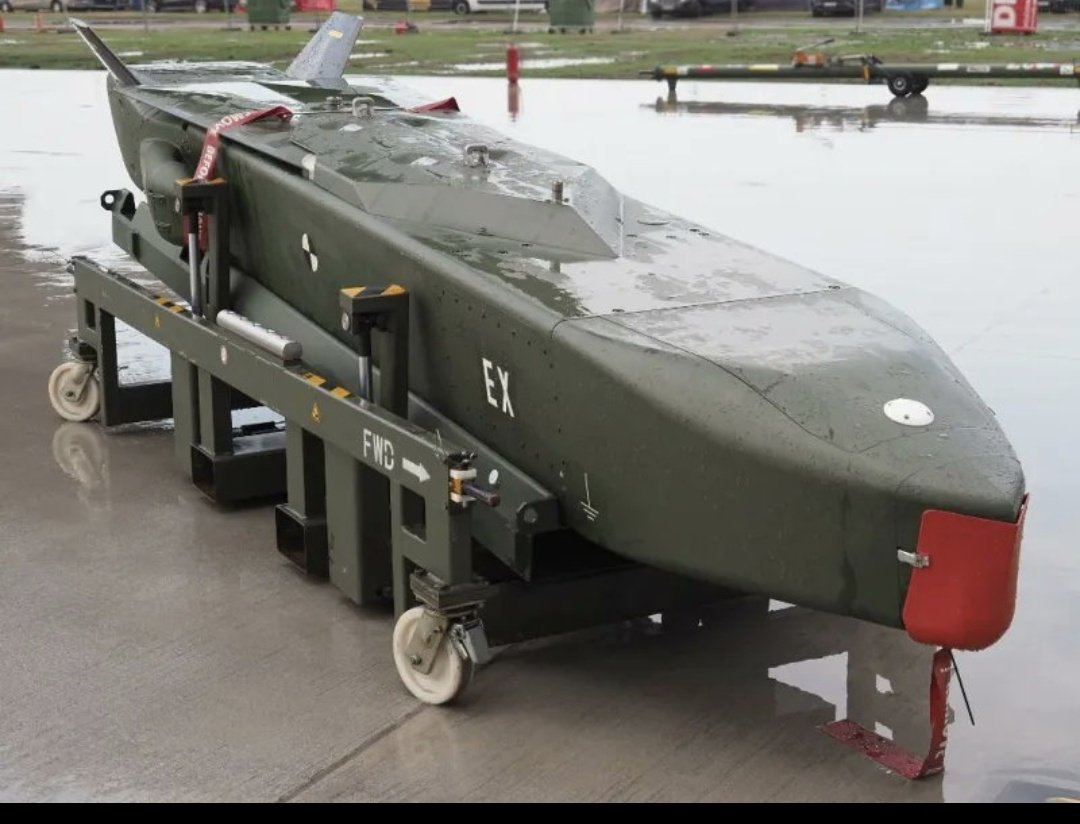 Ostfreude™️🇩🇪💙🇩🇪 tweet media