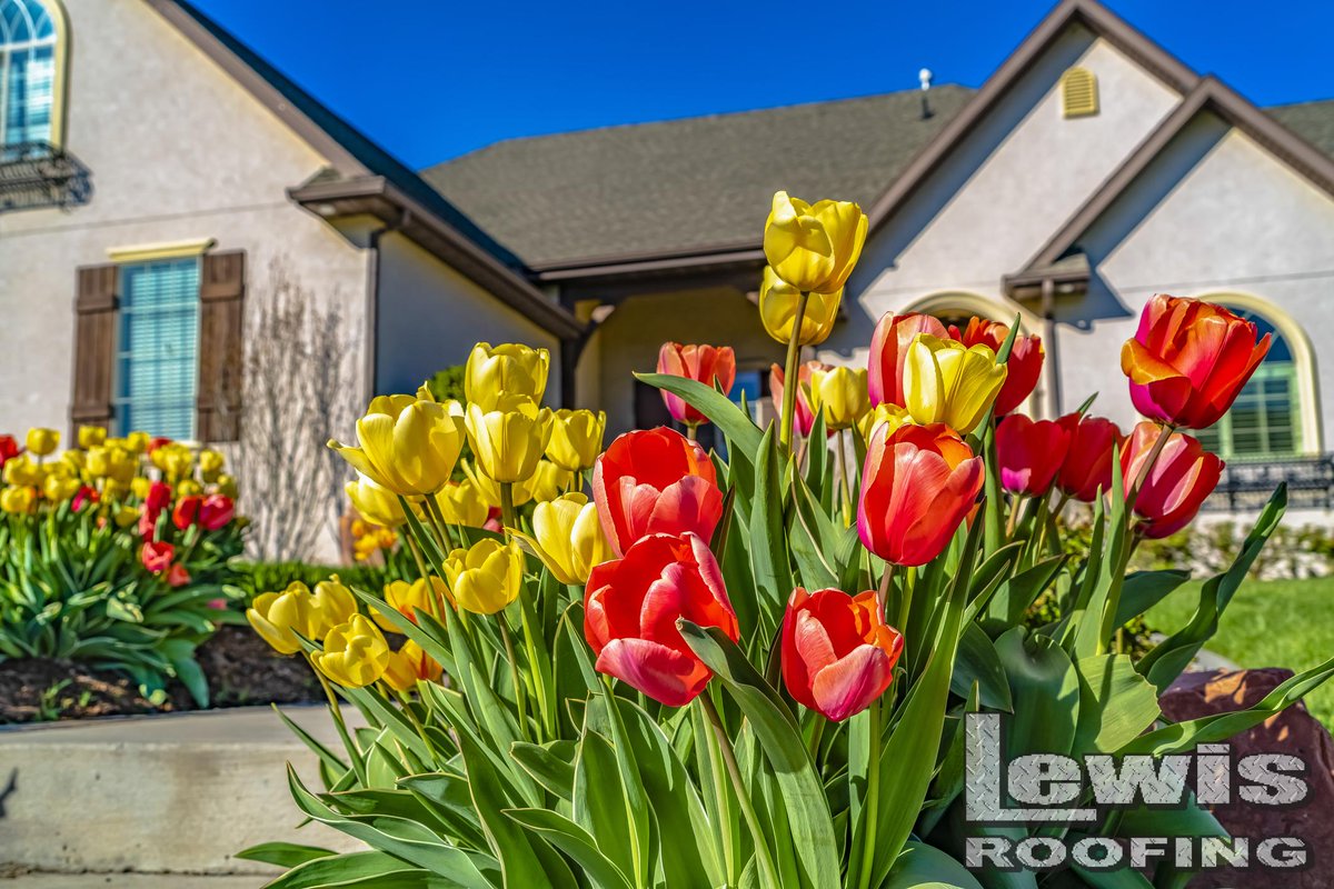 RoofingLew73075's tweet photo. 🌸🐣 This Easter, we’re celebrating fresh starts, strong foundations, and peace of mind from the ground up. Whether it’s your home or business, there’s something special about knowing what’s above you is built with care and integrity.
#HappyEaster #LewisRoofing #PeaceOfMind🐇🌷🏠 https://t.co/eByzoPO8UA